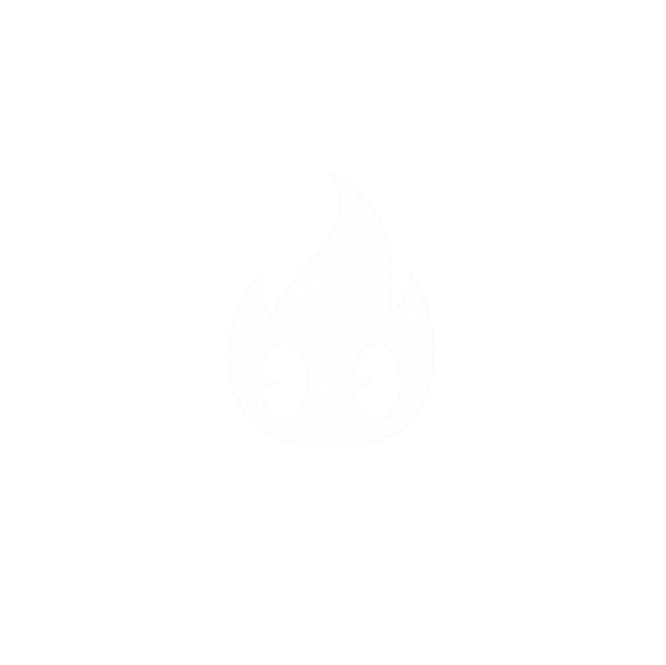 Fire Aesthetics
